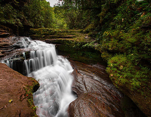 viaja a amazonas